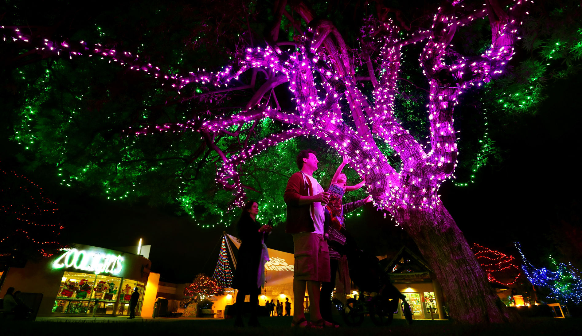 Zoo Lights